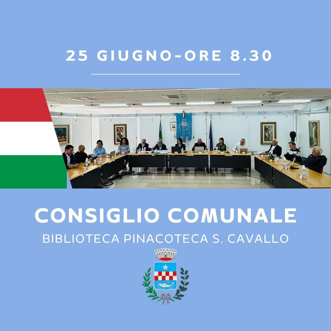 Immagine: Consiglio comunale 