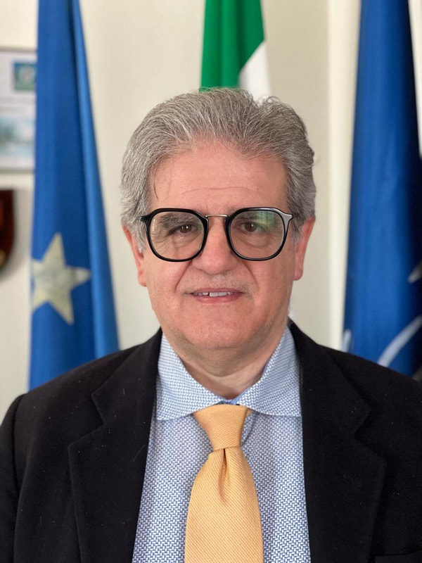 Michele Salonna